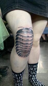 След, тату-салон фото