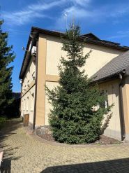 Уют, пансионат для пожилых людей и инвалидов фото