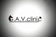 GAVclinic, ветеринарна клініка фото