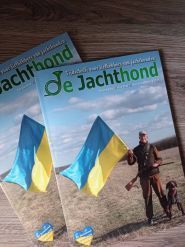 Віліс, підготовка службових та мисливських собак фото