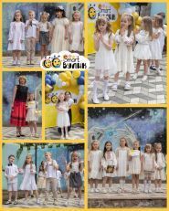 Smart Вулик , дитяча академія (початкова школа) фото