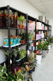 Love Story, студія квітів фото