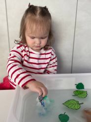 Smart Kids, частный сад фото