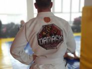 Damask, академія змішаних бойових мистецтв фото