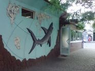 Акула, кафе фото