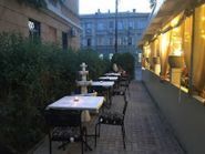 Акула, кафе фото