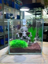 Аква Плюс, зоомагазин фото