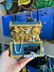 Аква Плюс, зоомагазин фото