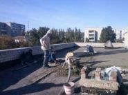 Фортіс м груп фото