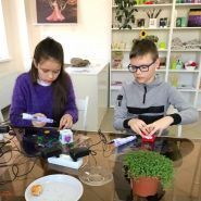 Wings, арт-студія фото