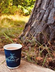 Frans Ua Kotsyubynskoho, кав'ярня фото