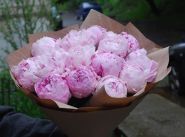 Роза ІФ, доставка квітів фото