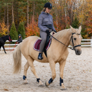 Моя Мрія, кінний клуб фото
