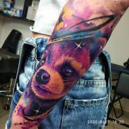 Кактус, тату-студія фото