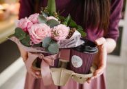 Botanica, цветочное кафе фото