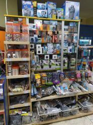 Природа, зоомагазин фото