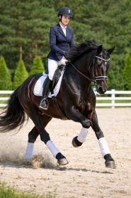 Моя Мечта, конный клуб фото