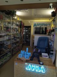 Амулет, ветеринарная клиника врача Журина И.В. фото