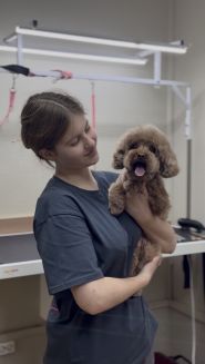Pet Center, клиника ветеринарной медицины фото