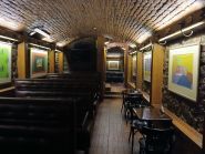 Саламандра, бар фото