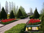 Портовик, санаторій фото