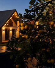 Chill Hill House, заміський відпочинок фото