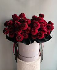Coco Floral Couture, студия авторской флористики фото