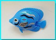 Crystal aqua, cупермаркет акваріумів і обладнання фото