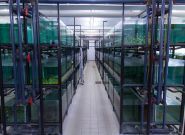 TropFish, аквариумные рыбки, экзотические животные и товары для аквариумистики фото