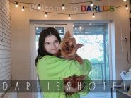 Darliss, для собак на день фото