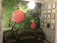 Стоматология Мазур, стоматологическая клиника фото