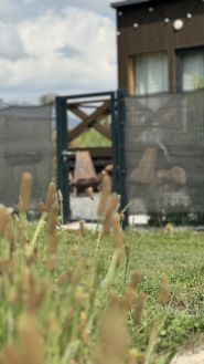 Zarvanytsia house, будиночки для відпочинку фото