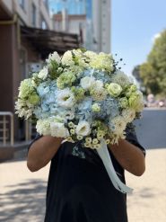 kvitu lutsk fiori, цветы фото