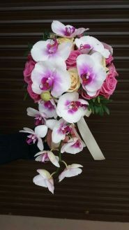 Strelitzia-flowers, магазин квітів фото