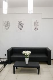 Анатомія Здоров’я, медичний центр фото