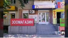 Космозоо, зоотовари фото