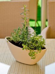 Fenix Town, ресторан фото