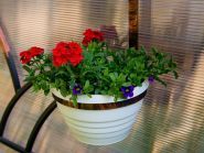 Fenix Town, ресторан фото