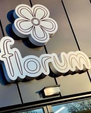 Florum, оптовый магазин цветов фото