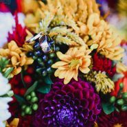 Фотограф Оксана Корінь фото