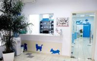 Французька ветеринарна клініка, клініка для тварин фото