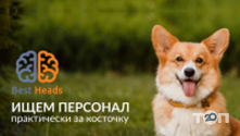 Логотип Best Heads, рекрутингове агентство м. Харків