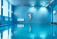 H2o, школа плавання фото