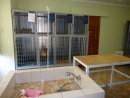 ХвостУс, центр ветеринарних послуг фото
