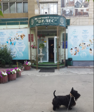 Велес, ветеринарна клініка фото