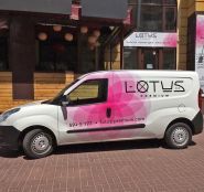 Lotus Premium, хімчистка і ремонт Lotus Premium, хімчистка і ремонт фото