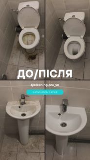 Rosa cleaning, клінінг фото