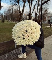 kvitkova maisternia orhideya, квіти фото