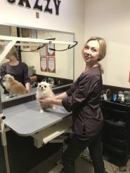 Jazzy, грумінг-салон фото
