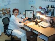 Коррекция слуха, кабинет врача отоларинголога-сурдолога фото
